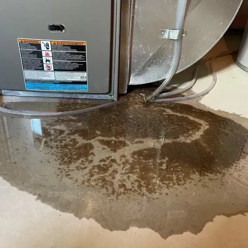 Appliance Leak Cleanup in Eagle Point, OR